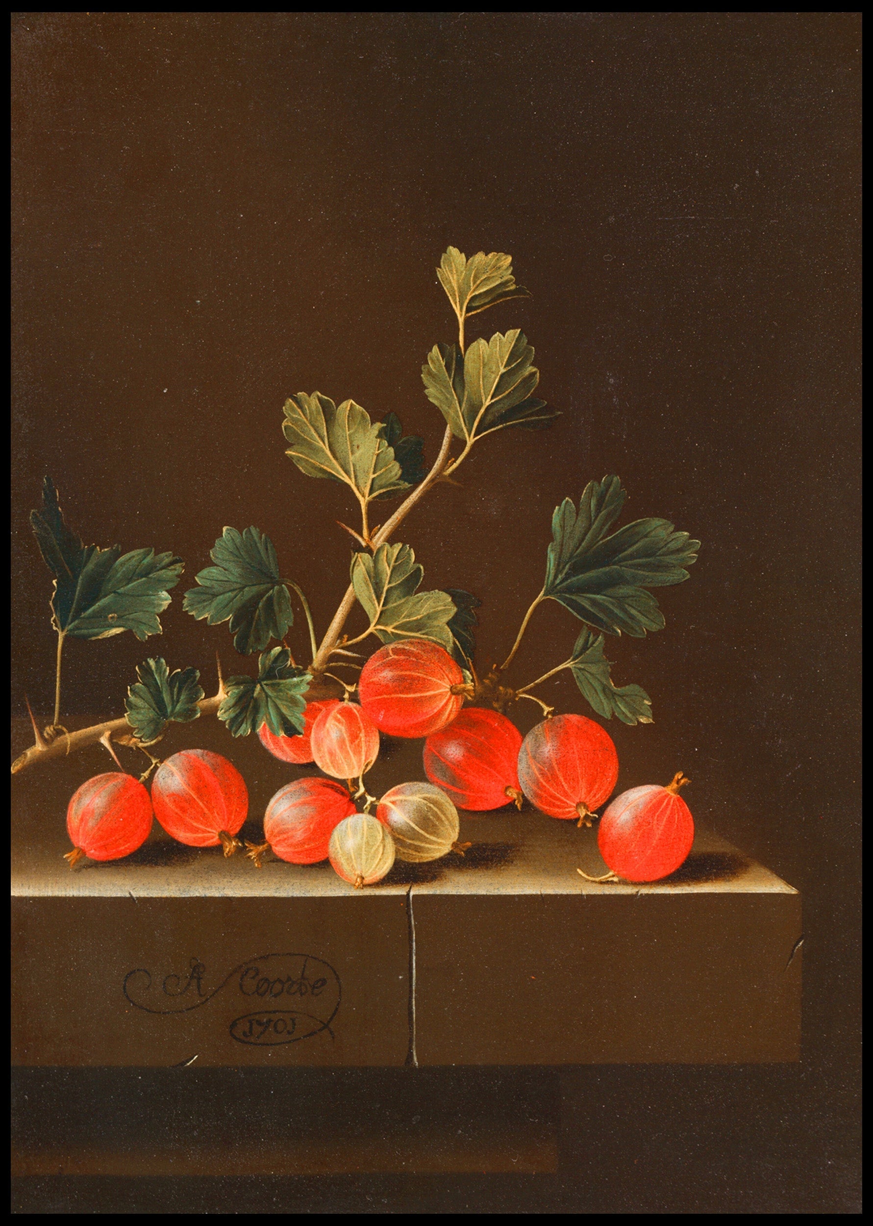 Gooseberries on a Table