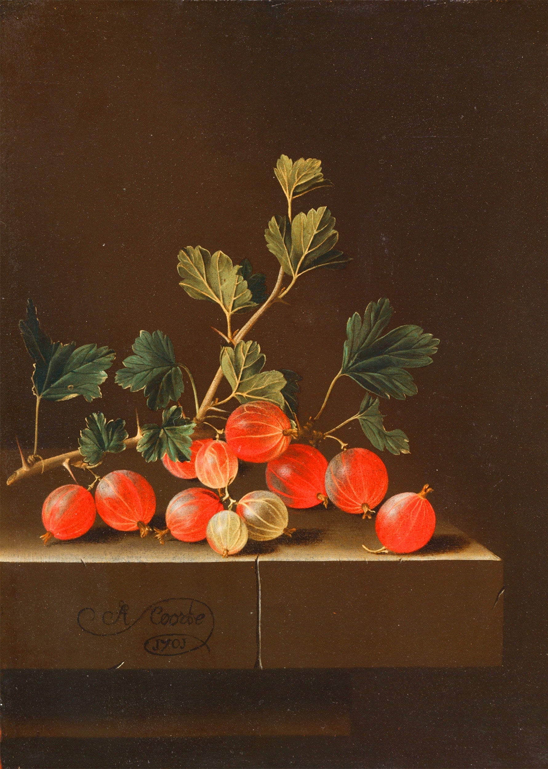 Gooseberries on a Table