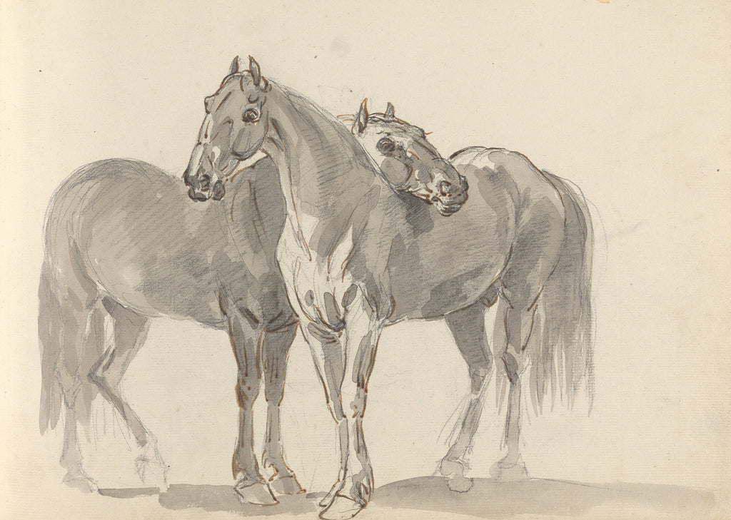 Elephant and Horse Pair – Black & White Animal Drawing Print  Wall Art