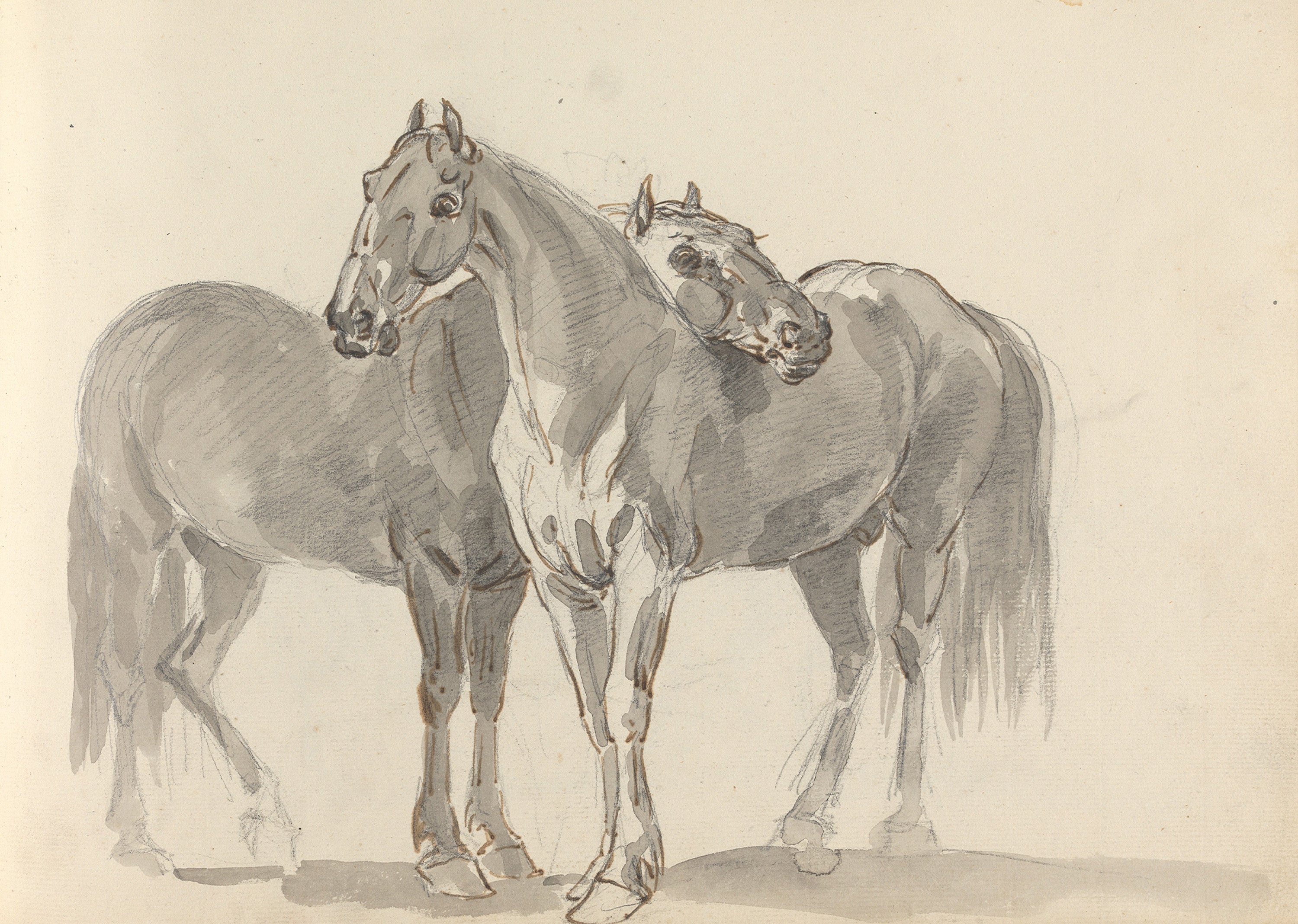 Elephant and Horse Pair – Black & White Animal Drawing Print  Wall Art