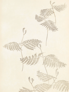Shin-Bijutsukai – Bijutsukai No. 18 Poster – Vintage Japanese Art Print
