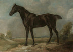 Set of 2 Cabaret Dancers & Pastoral Horse Scene | Vintage Dance & Rustic Fine Art Prints
