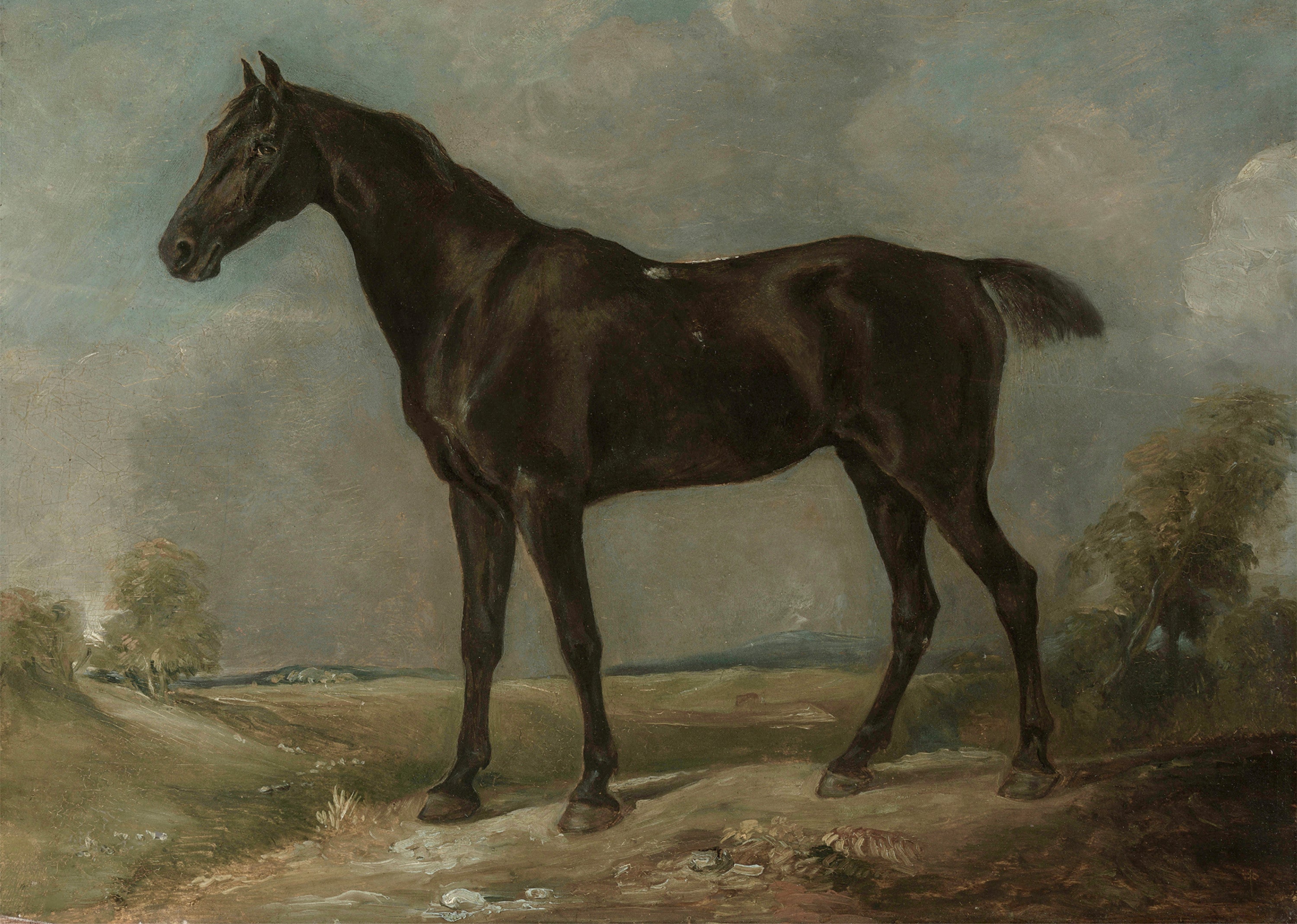 Pastoral Horse Scene Poster – Serene Rustic Wall Art for Home & Office