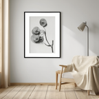 Ptelea Trifoliata by Karl Blossfeldt – Botanical Photography Art Print - Hakyarts