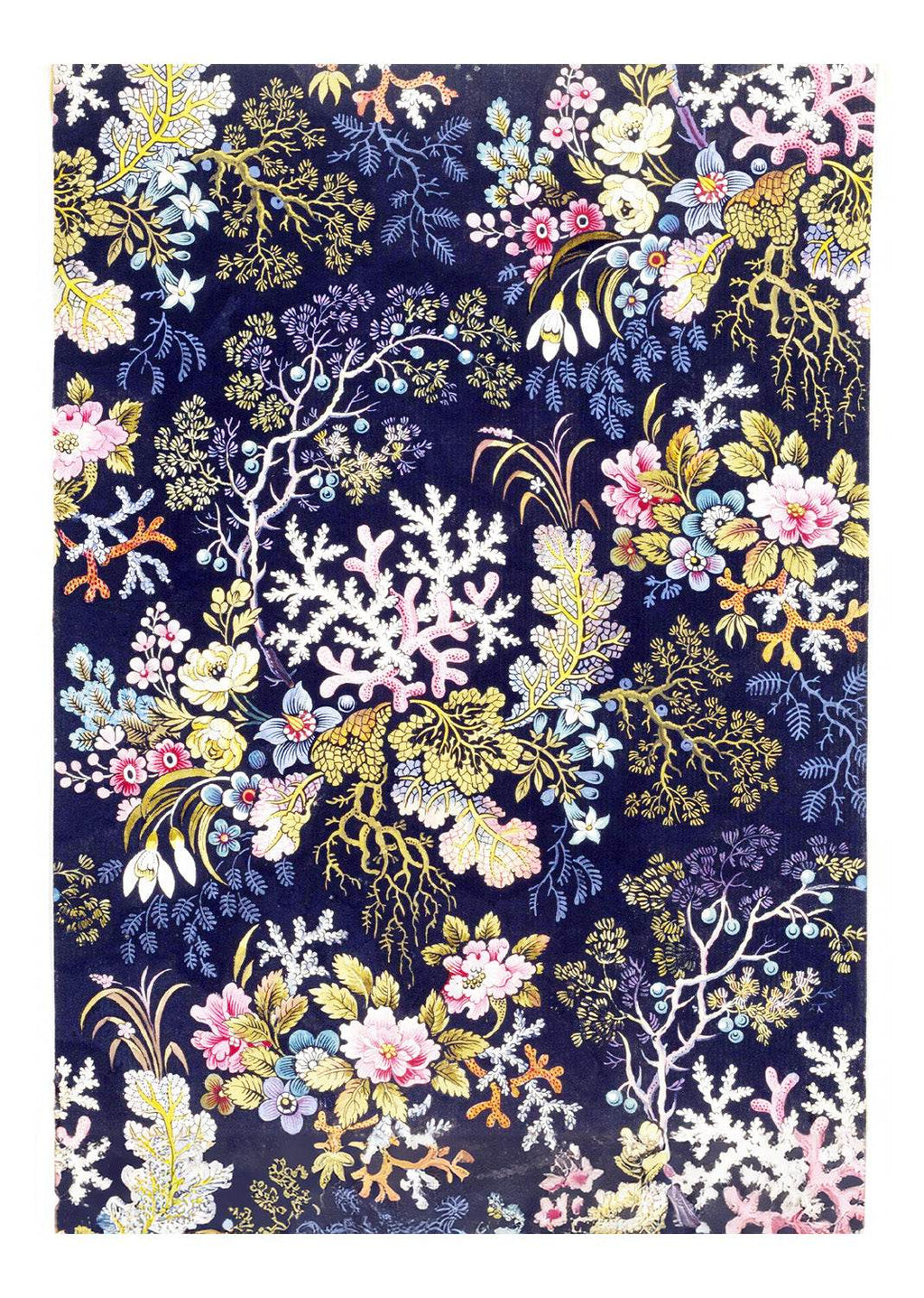 Seaweed Pattern - Hakyarts