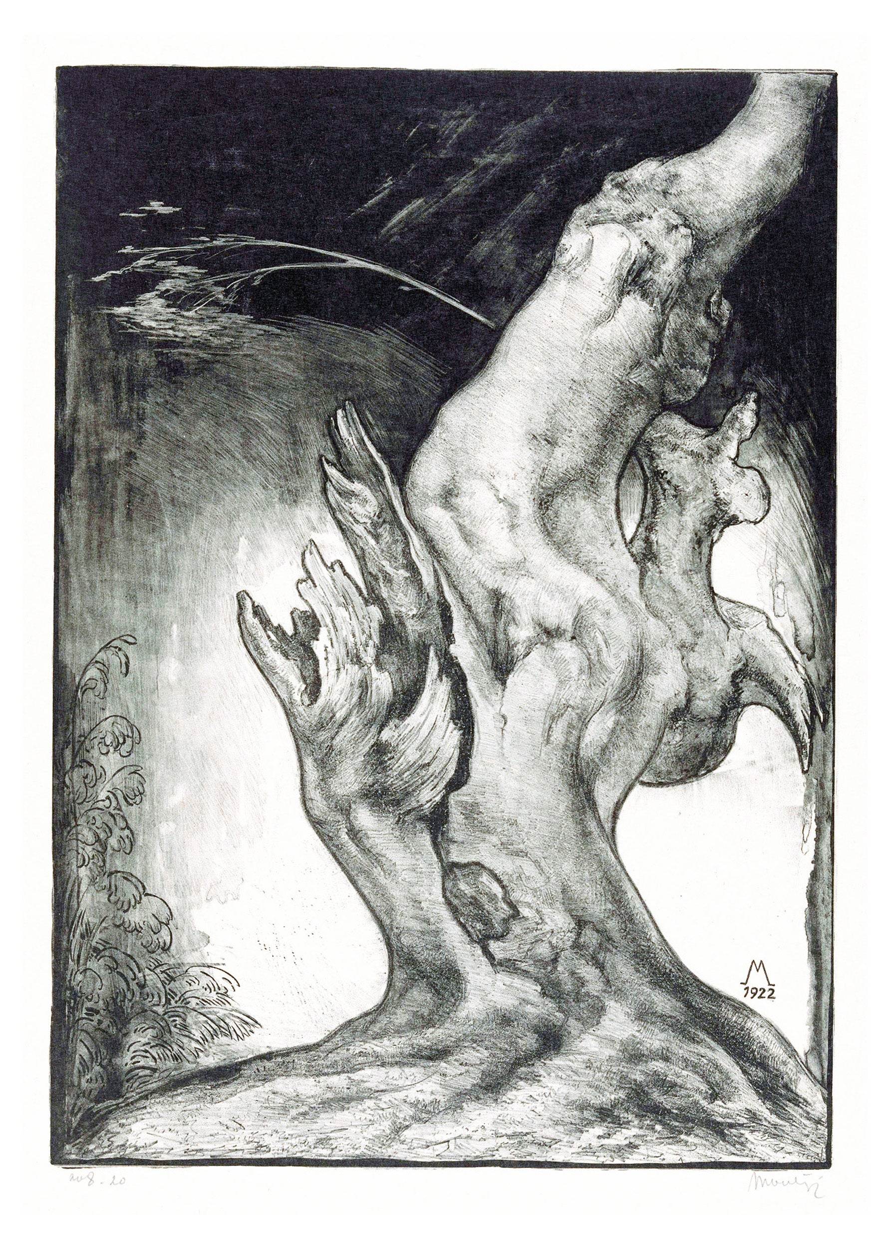 Boomstronk - Hakyarts