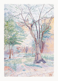 The Nut Tree - Hakyarts