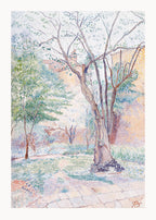 The Nut Tree - Hakyarts