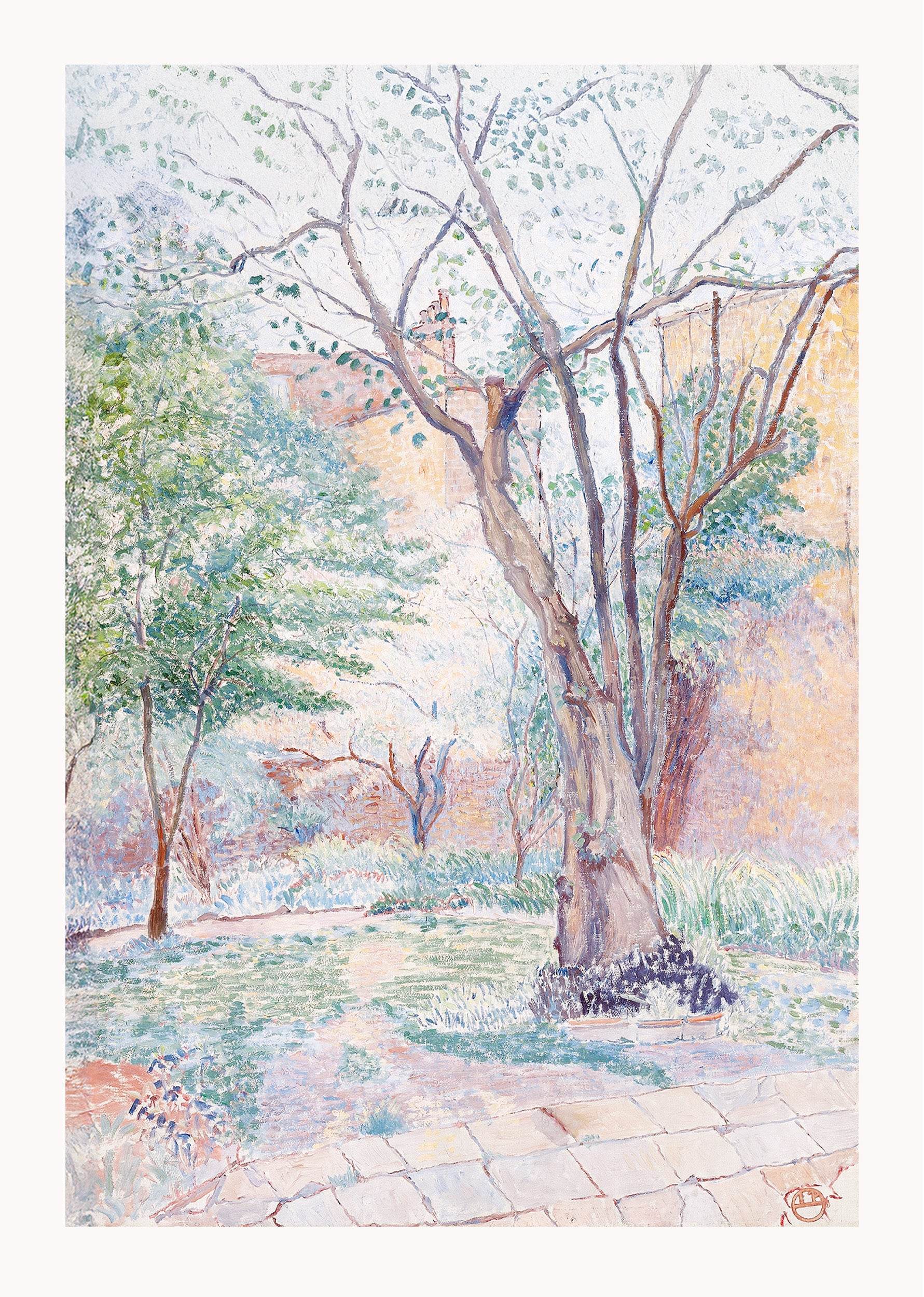 The Nut Tree - Hakyarts