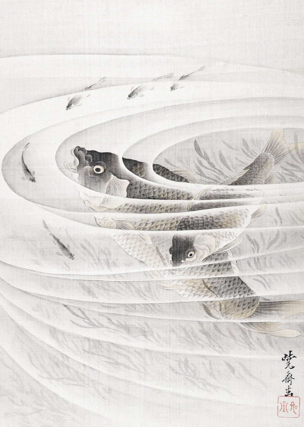 Fish in a Whirlpool - Hakyarts