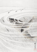 Fish in a Whirlpool - Hakyarts