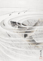 Fish in a Whirlpool - Hakyarts