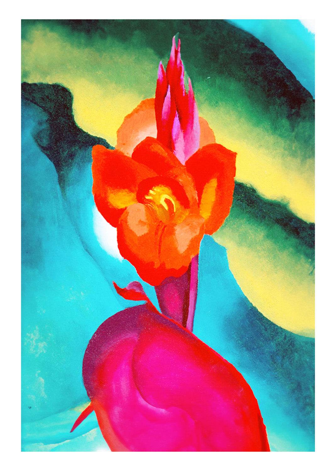 Red Canna - Hakyarts
