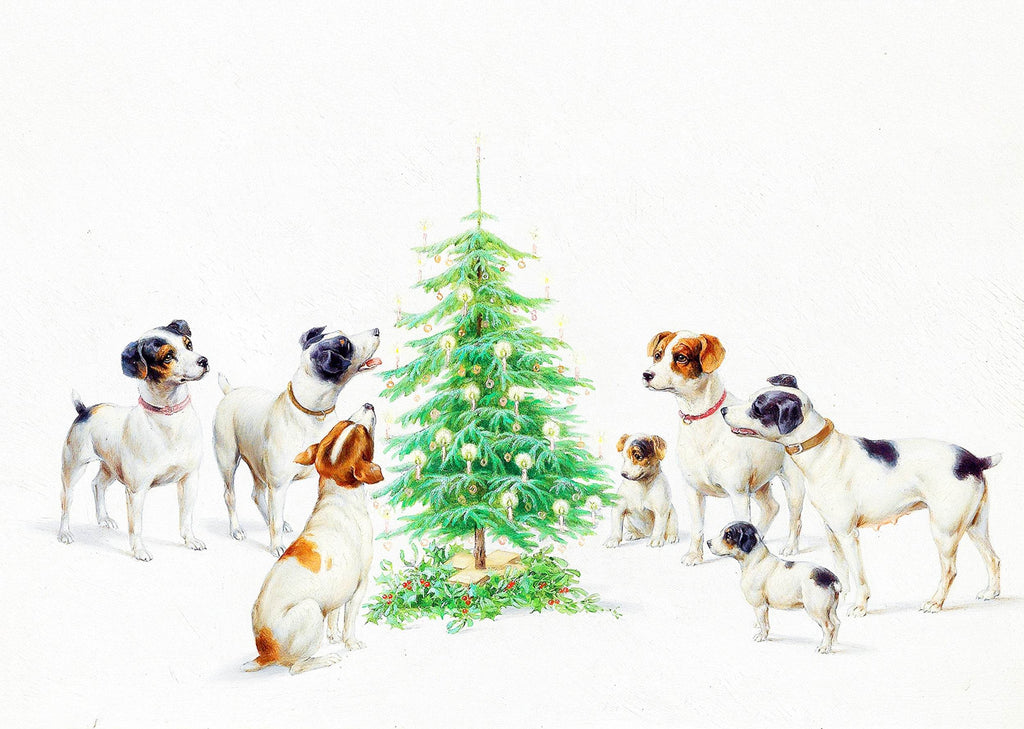 Christmas - Hakyarts