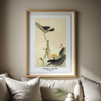 Dragonfly and Lotus – Ohara Koson Poster | Japanese Nature Art Print - Hakyarts
