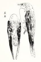 Asian Martin Vintage by Watanabe Seitei – Traditional Japanese Bird Art Print