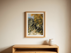 Rochers dans la Forêt 'Fontainebleau' – Paul Cézanne Poster | Post-Impressionist Landscape Art Print