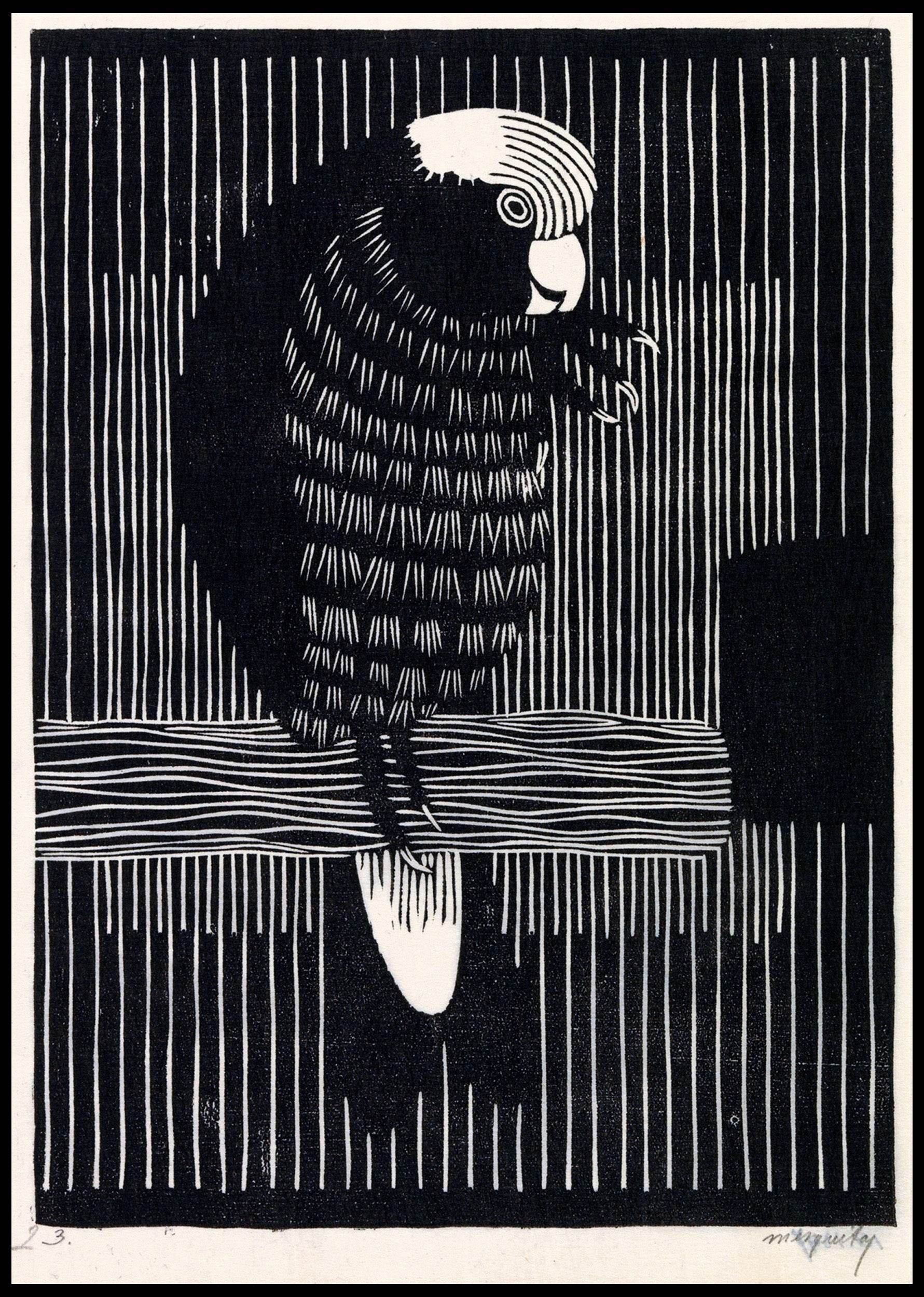 Rosékaketoe - Hakyarts