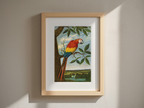 Arara by Albert Eckhout – Exotic Bird Illustration Art Print - Hakyarts