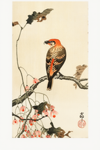 Crossbill – Ohara Koson Poster | Japanese Nature Art Print - Hakyarts