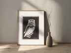 Twee Uilen by Julie de Graag – Dutch Nature & Owl Art Print - Hakyarts