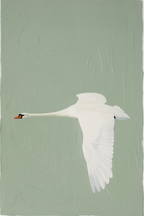 Silent Wings – Elegant Swan in Motion