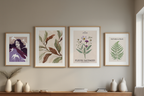 Floral Symphony – 6 Botanical Prints | Mix & Match Wall Art Collection - Hakyarts