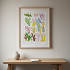Great Barrier Reef Corals III by William Saville-Kent – Natural History Marine Art Print
