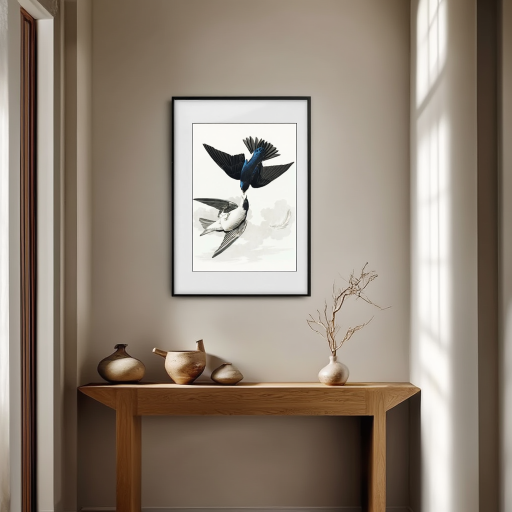 White-bellied Swallow by John James Audubon – Ornithological Art Print