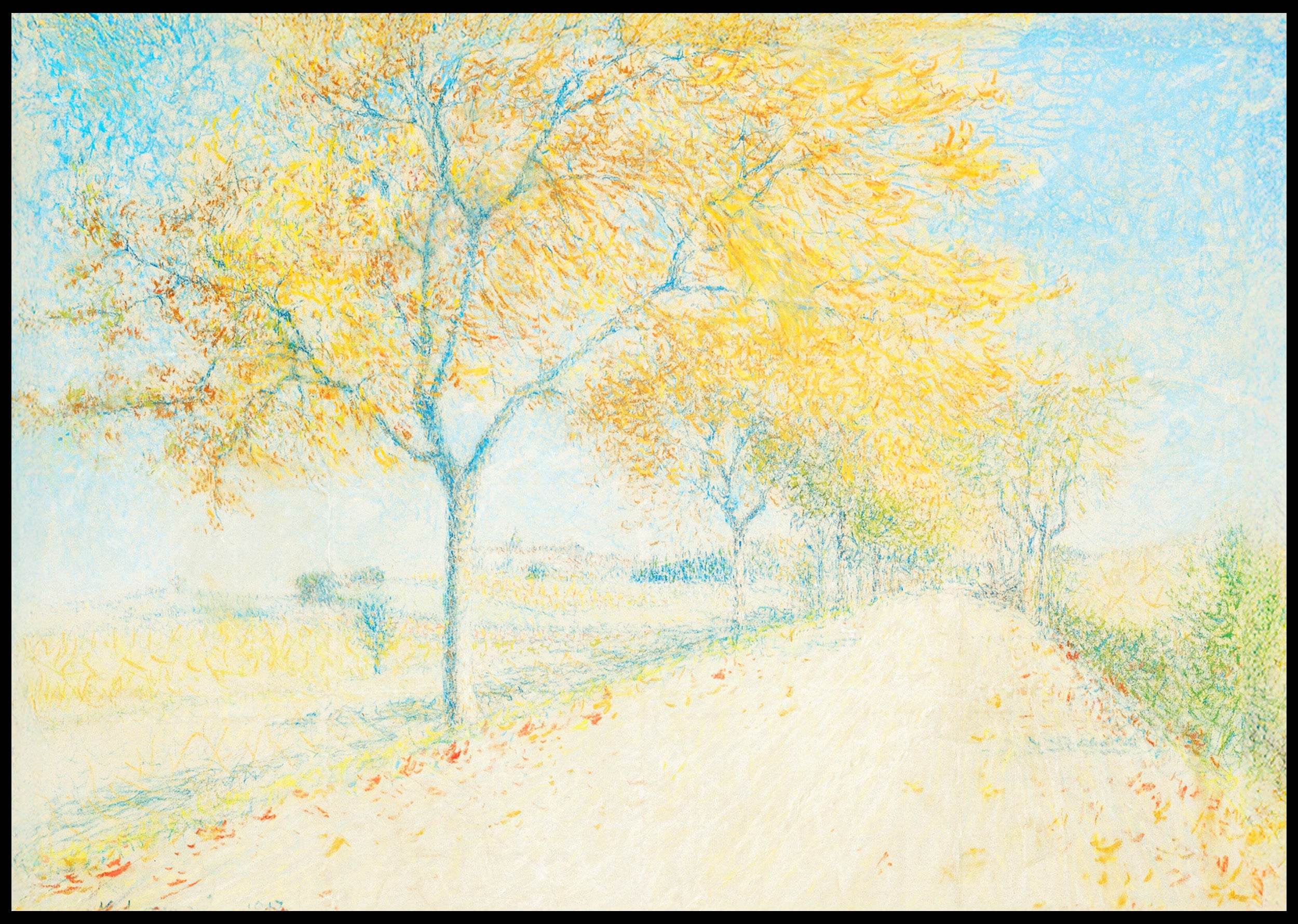 Route de Cailhau - Hakyarts