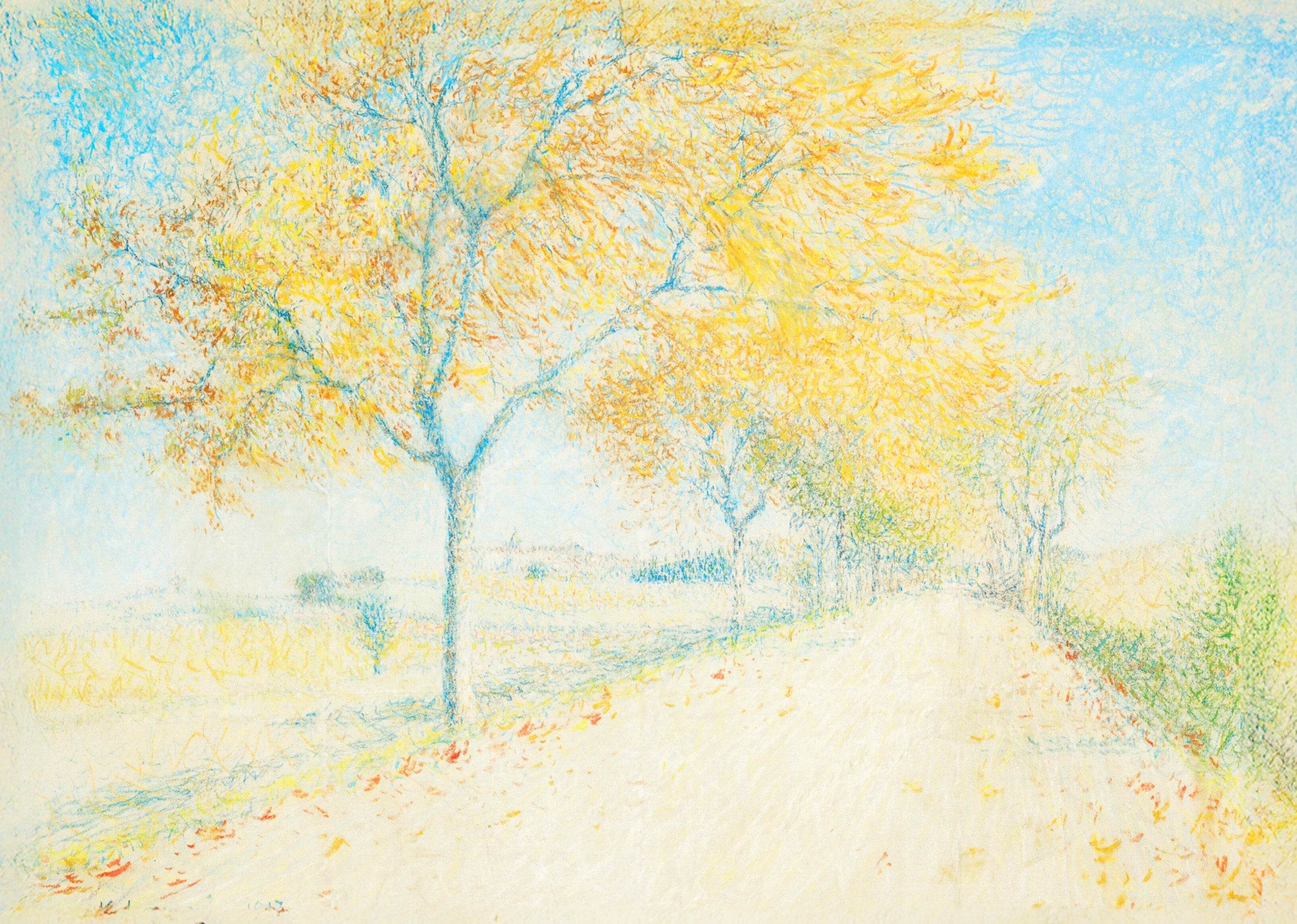 Route de Cailhau - Hakyarts