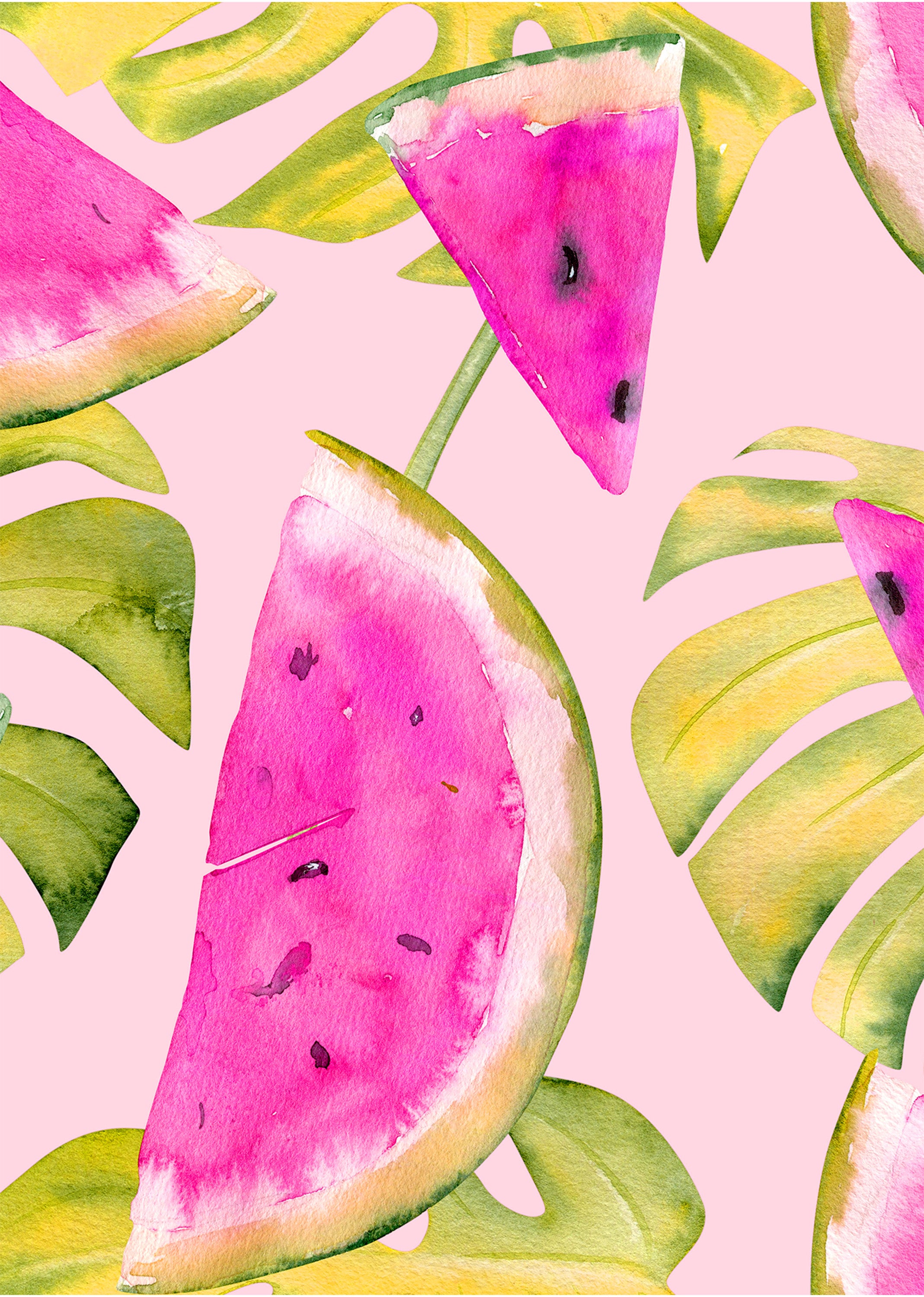 Modern Pink Watermelon Botanical Wall Art