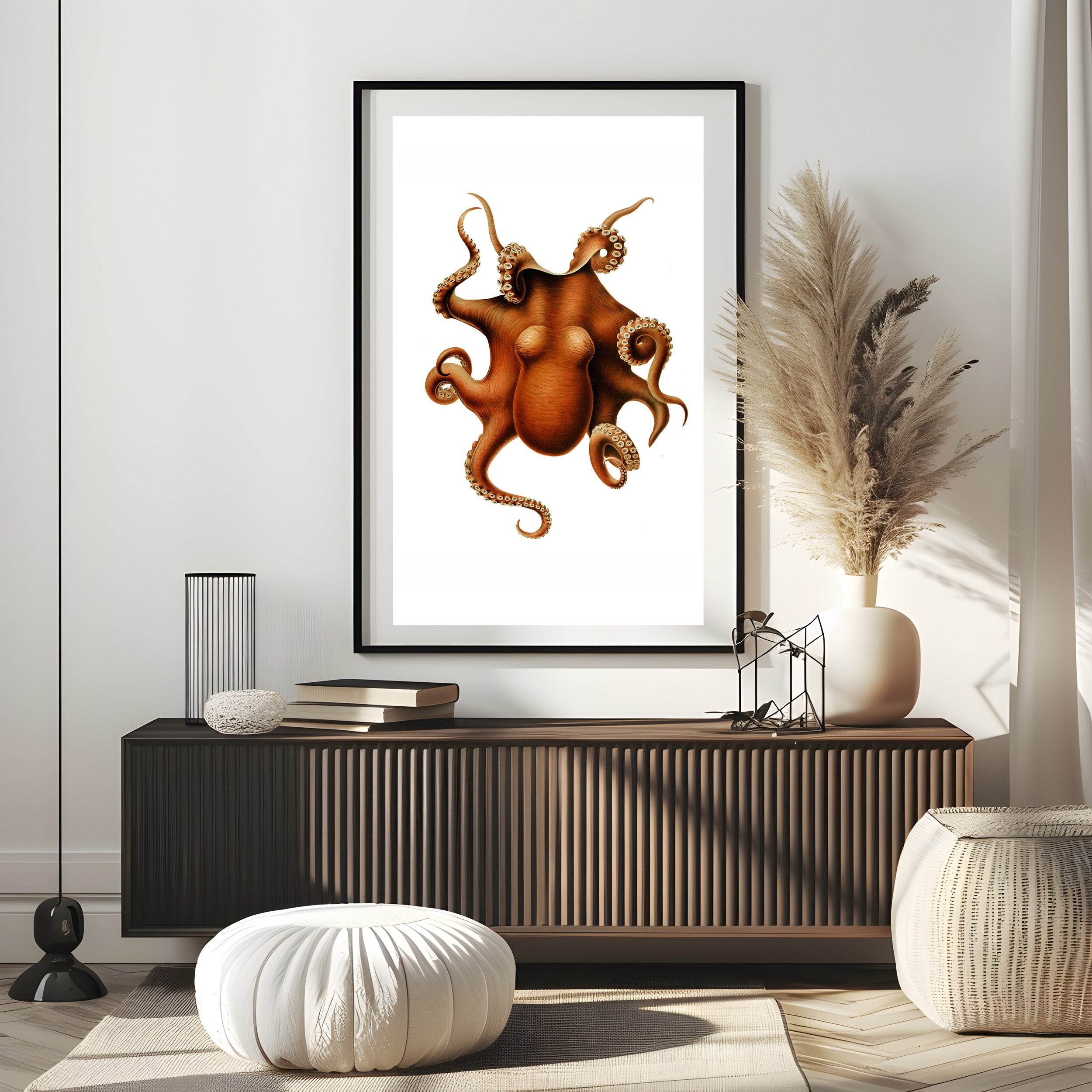 Benthoctopus Levis - Hakyarts