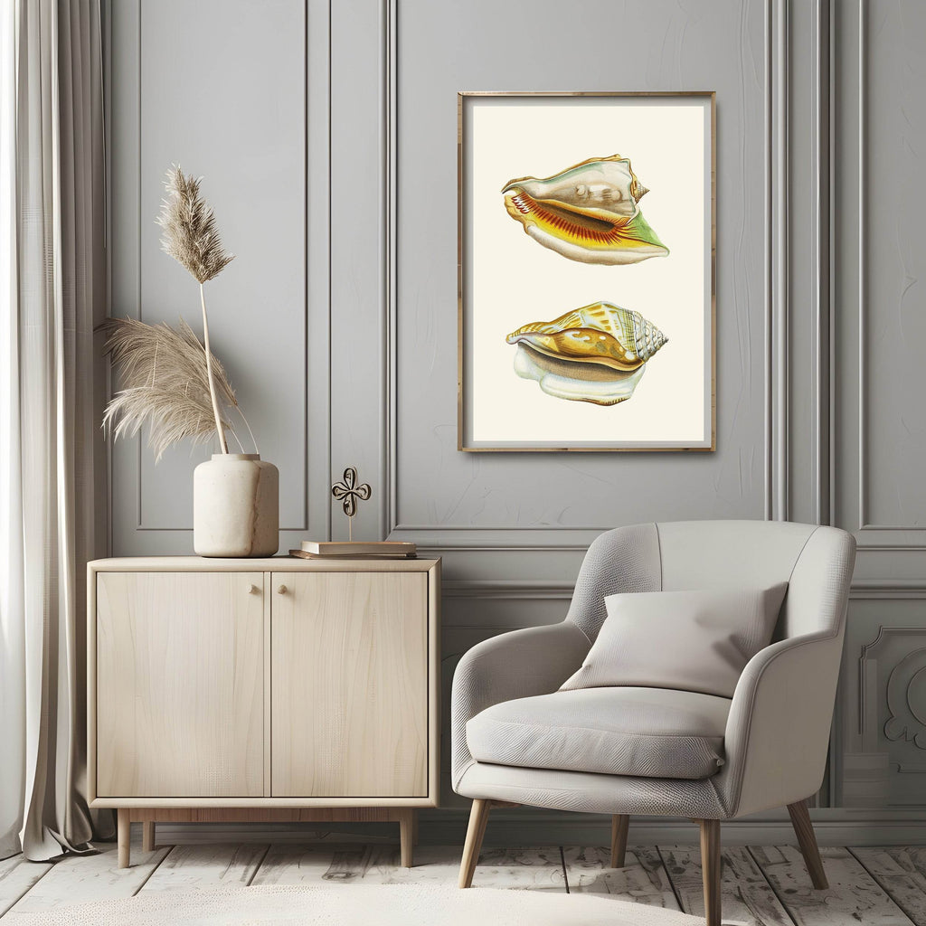 The Winged Snails Pl.10 - Hakyarts