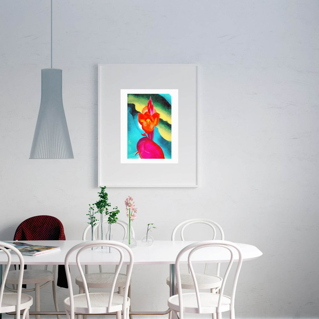 Red Canna - Hakyarts