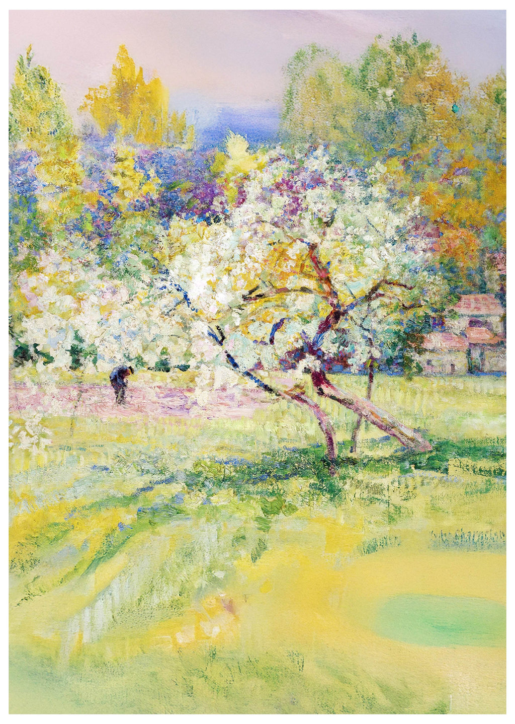 Arbres En Fleur Dans La Prairie, Auvergne - Hakyarts