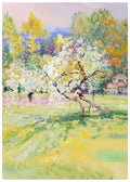 Arbres En Fleur Dans La Prairie, Auvergne - Hakyarts