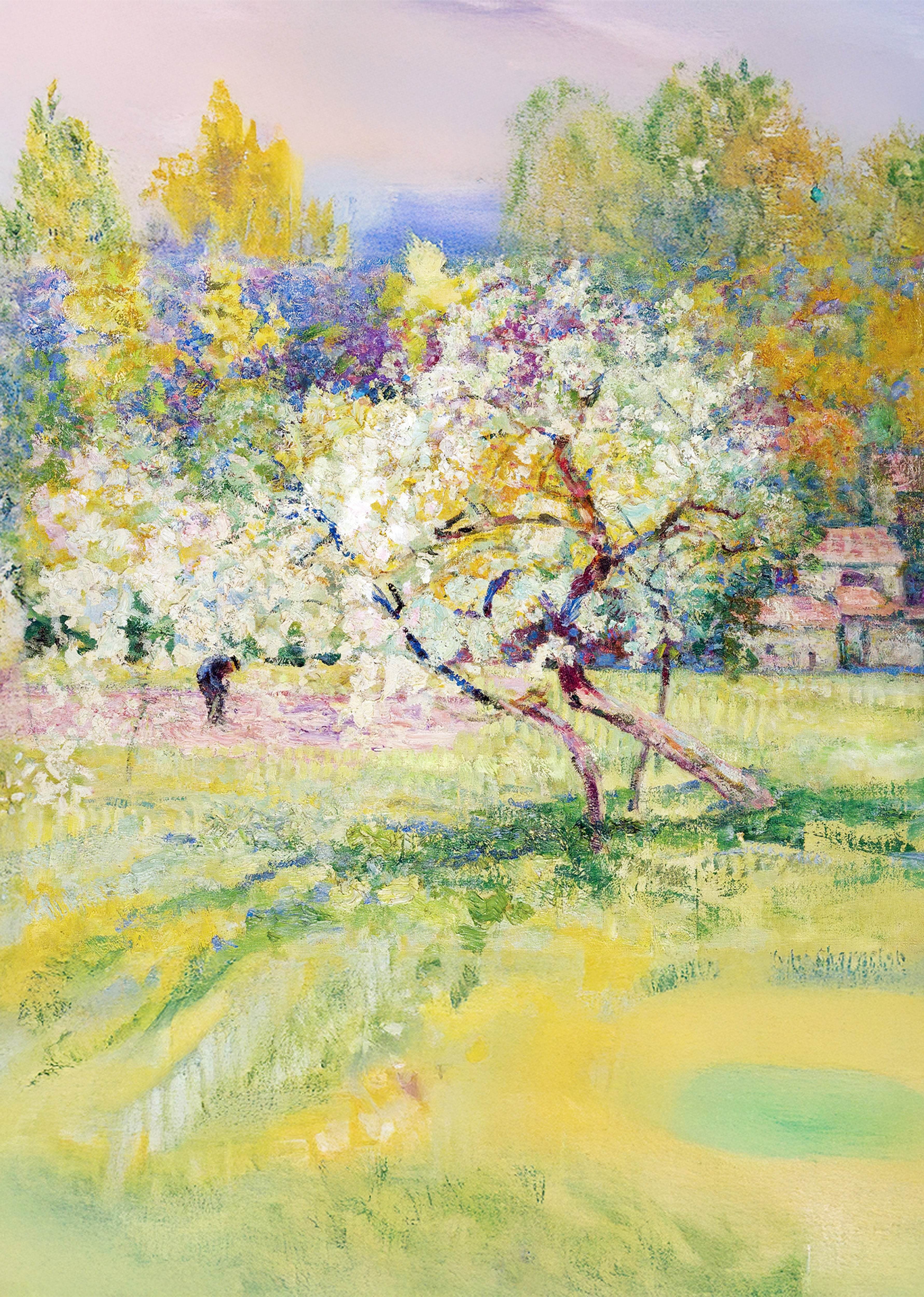 Arbres En Fleur Dans La Prairie, Auvergne - Hakyarts