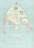 Burmese Map of the World - Hakyarts