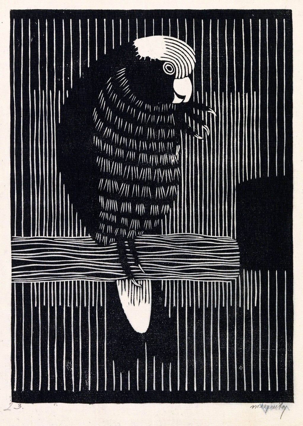 Rosékaketoe - Hakyarts