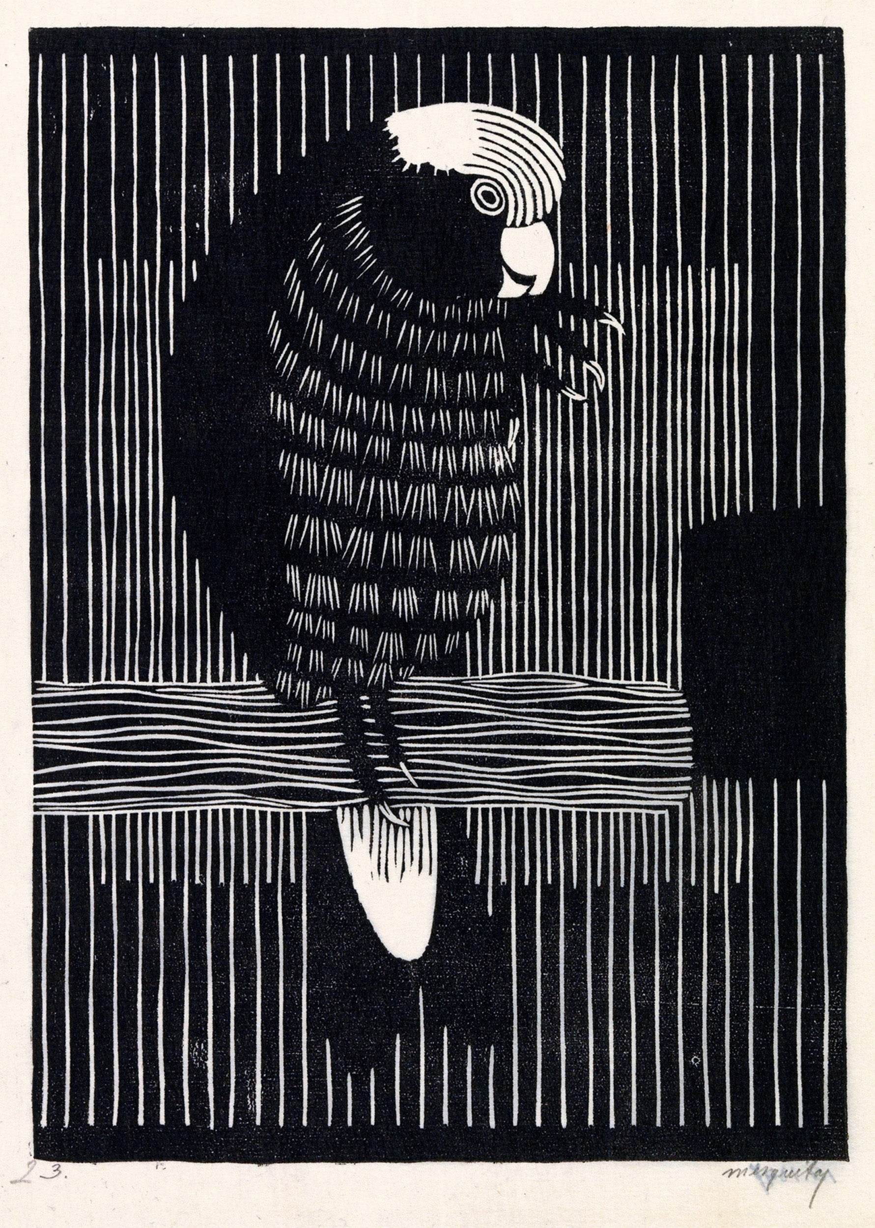 Rosékaketoe - Hakyarts