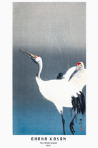 Two White Cranes – Ohara Koson Poster | Japanese Nature Art Print - Hakyarts