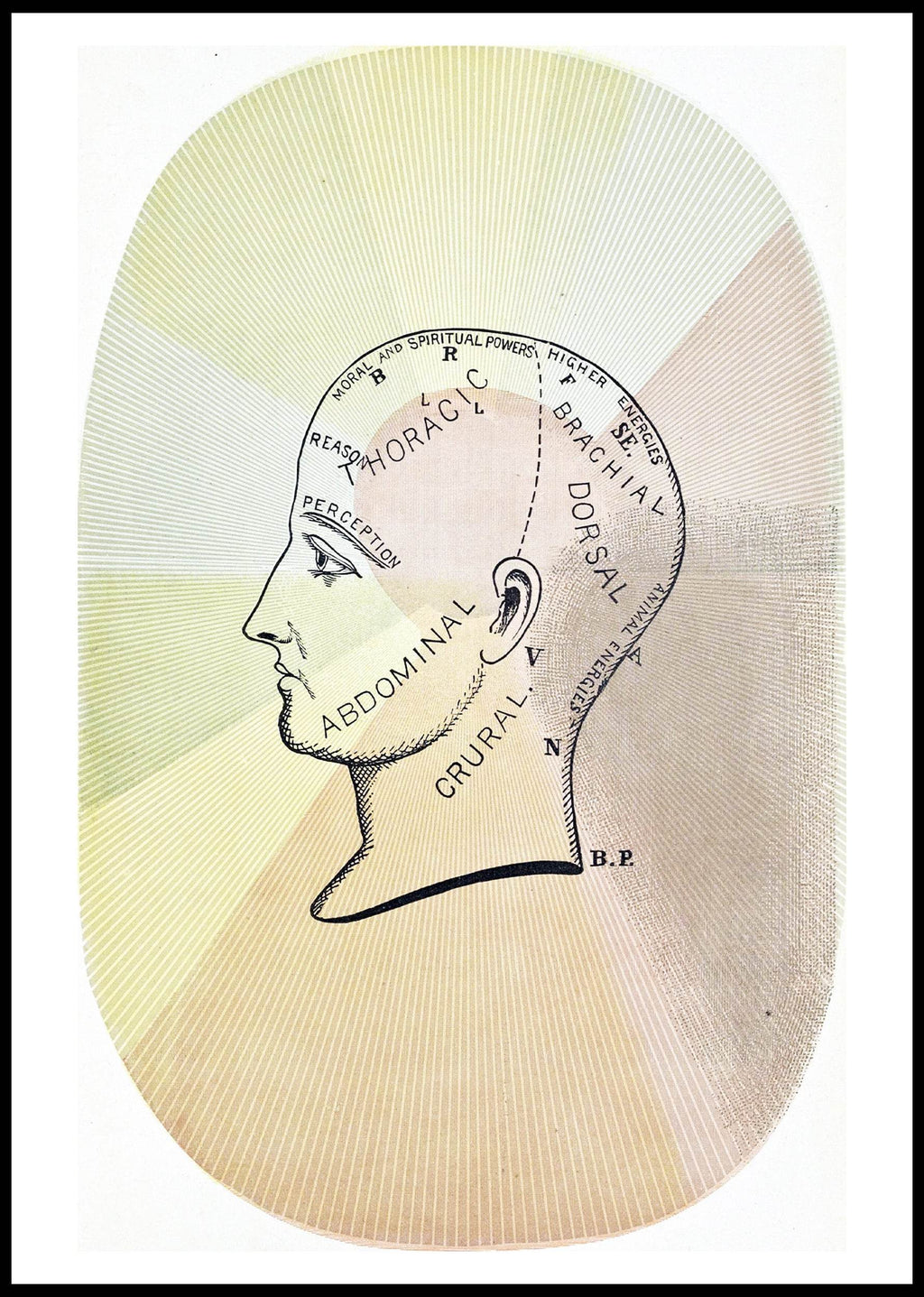 The Principles of Light and Color - Hakyarts