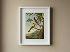 Albert Eckhout – Tuite, Iapui und Caiicupeu caya – Ethnographic Illustration Art Print