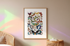 Vintage Papillons (Butterflies) by Adolphe Millot – Entomology Illustration Art Print - Hakyarts