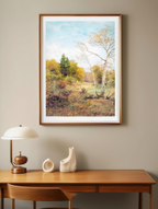 Autumn Forest