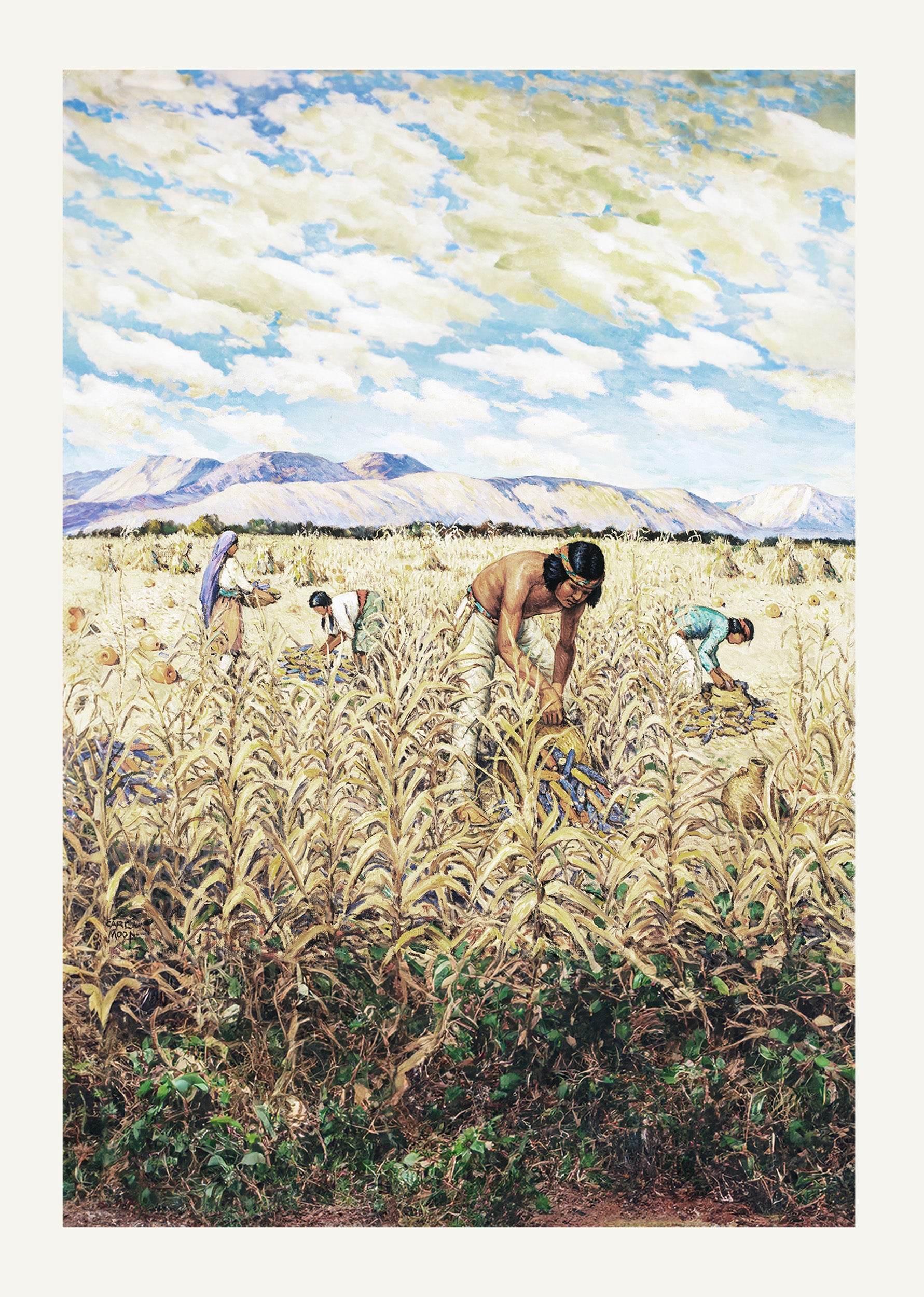 Corn Harvest at Santo Domingo - Hakyarts