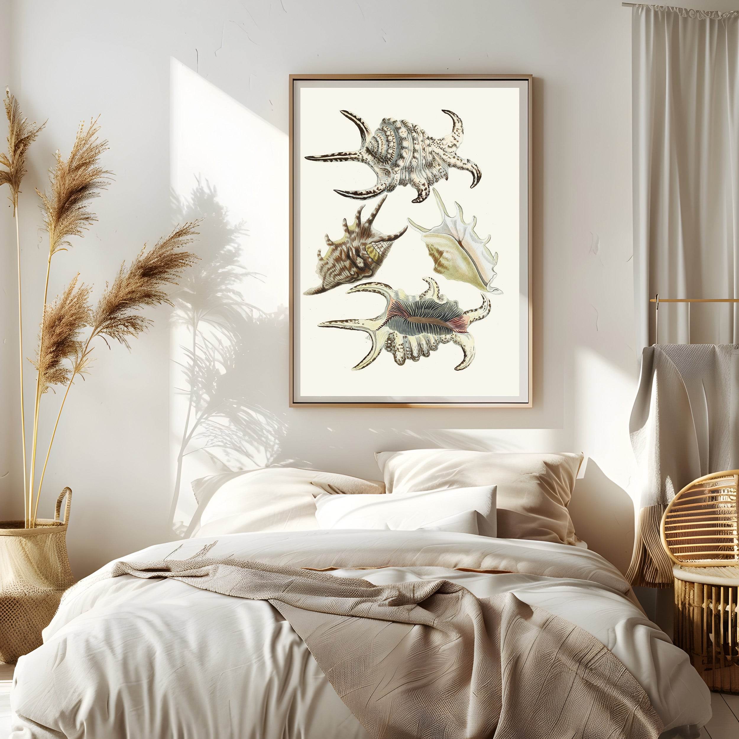 The Winged Snails Pl.21 - Hakyarts