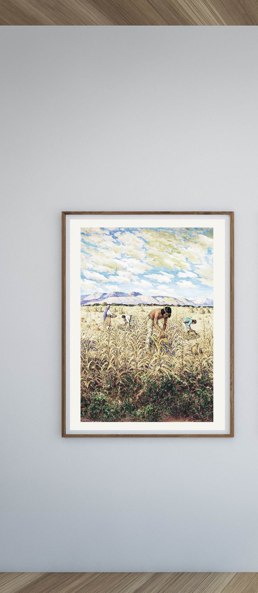 Corn Harvest at Santo Domingo - Hakyarts