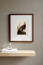 Wild Turkey by John James Audubon – Birds of America Ornithology Art Print - Hakyarts